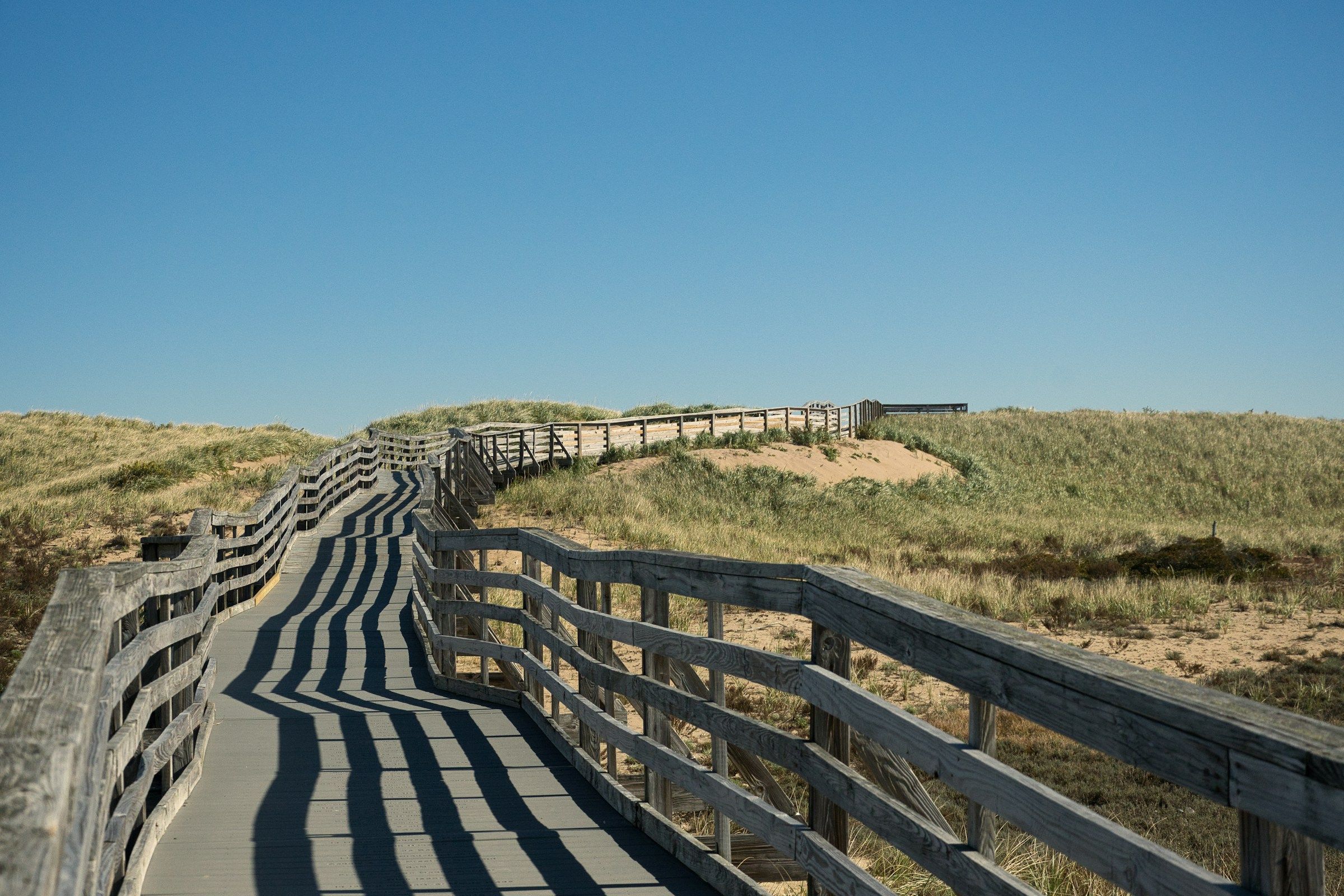Wooden boardwalk path through coastal dunes under a blue sky